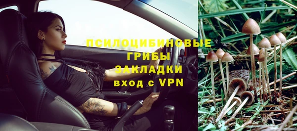 мяу мяу мука Корсаков