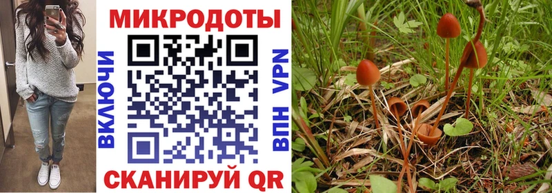 Купить  Сарапул  Псилоцибиновые грибы Psilocybine cubensis 